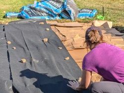 Garden Project in progress