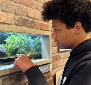 Student looks at animal at the Maritime Aquarium
